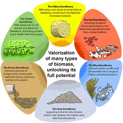 Business Models, Including Higher Value Products for the New Circular, Resource-Efficient Biobased Industry